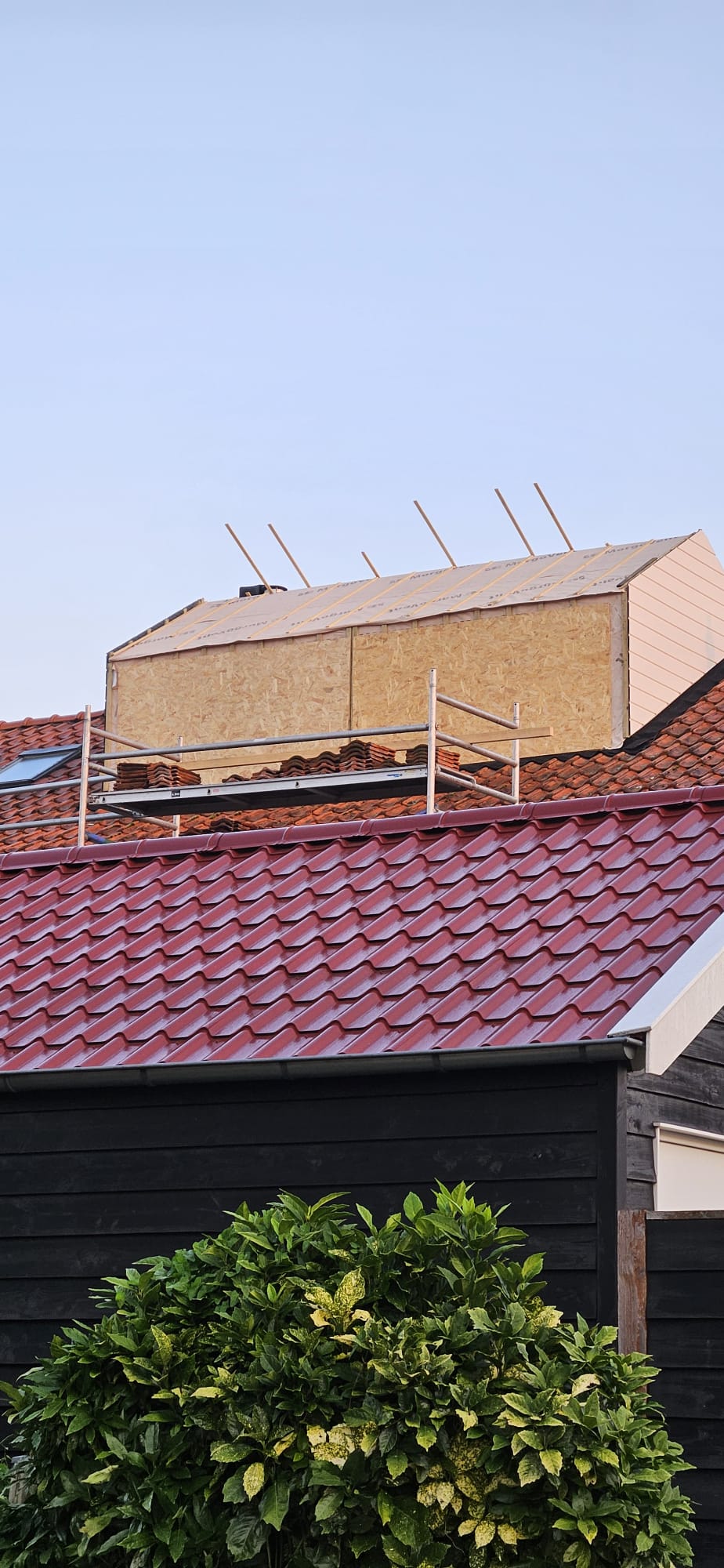 goedkope nokverhoging