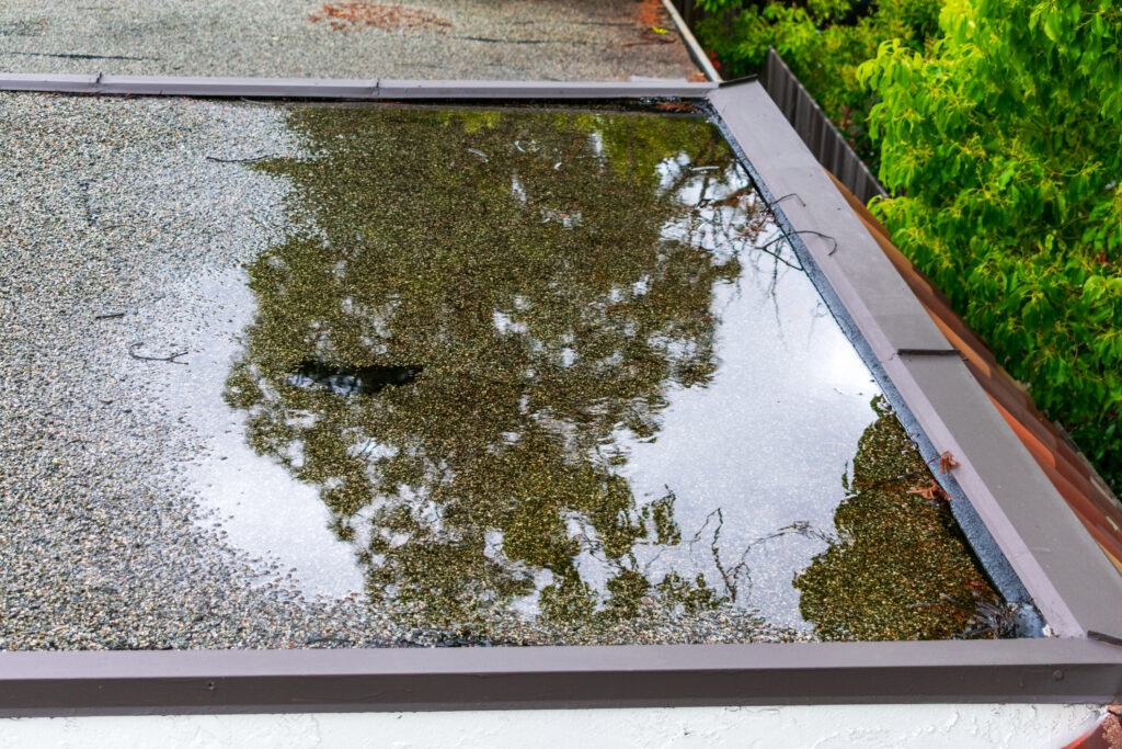 reparatie plat dak